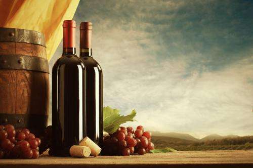葡萄酒十大品牌如何选择做加盟？